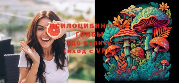 молекула духа Арсеньев