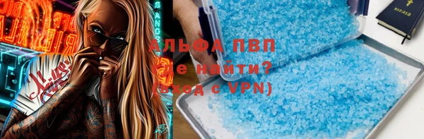 молекула духа Арсеньев