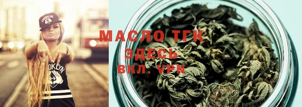 молекула духа Арсеньев