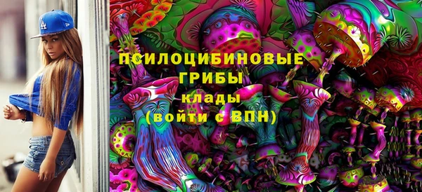 молекула духа Арсеньев